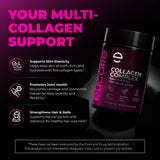 Collagen Complex (Type I, II, III, V, & X)