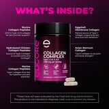 Collagen Complex (Type I, II, III, V, & X)